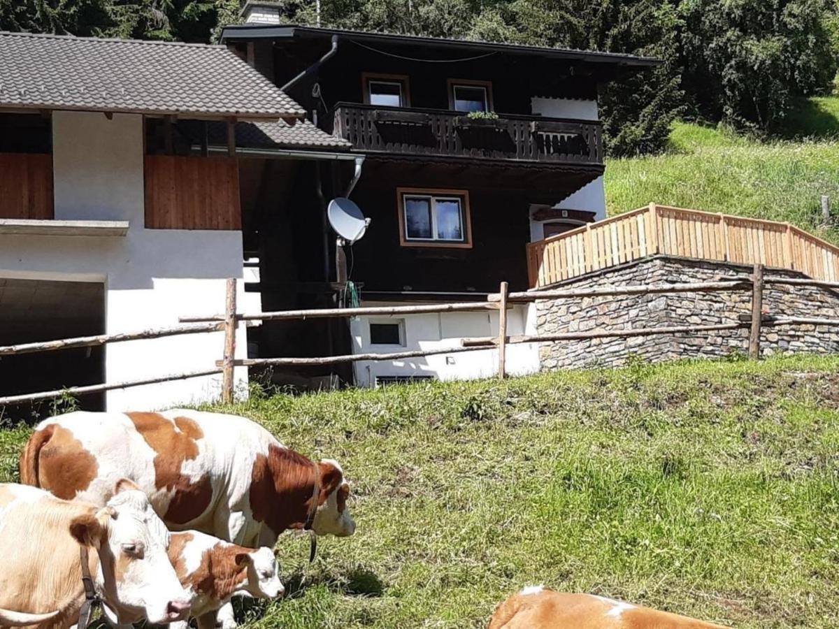 Grades Wunderschones Ferienhaus In Feistritz Mit Terrasse 빌라 외부 사진